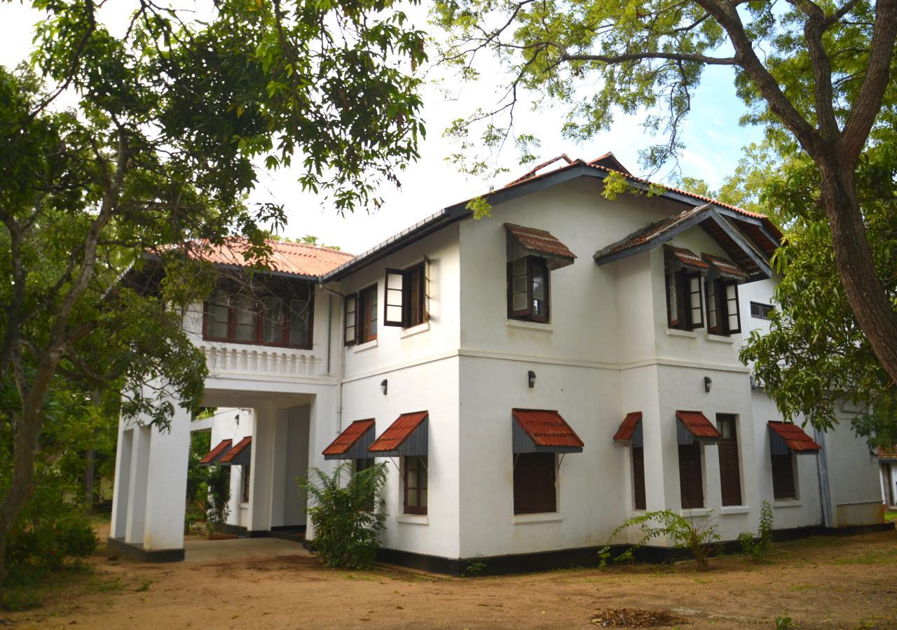 Fig And Gecko Hostel Anuradhapura Eksteriør billede